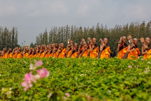 ภาพ No.31963:โครงการธรรมยาตรา เส้นทางพระผู้ปราบมาร ปีที่ 6 ณ วัดพระธรรมกาย