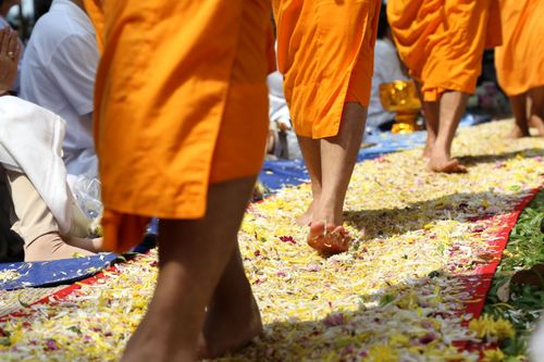 ภาพ No.31884:โครงการธรรมยาตรา เส้นทางพระผู้ปราบมาร ปีที่ 6 ณ วัดพระธรรมกาย