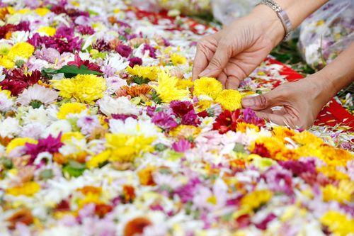 ภาพ No.32052:โครงการธรรมยาตรา เส้นทางพระผู้ปราบมาร ปีที่ 6 ณ วัดพระธรรมกาย