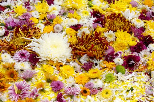 ภาพ No.32049:โครงการธรรมยาตรา เส้นทางพระผู้ปราบมาร ปีที่ 6 ณ วัดพระธรรมกาย