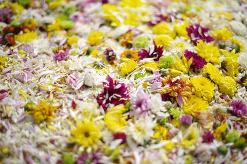 ภาพ No.31981:โครงการธรรมยาตรา เส้นทางพระผู้ปราบมาร ปีที่ 6 ณ วัดพระธรรมกาย