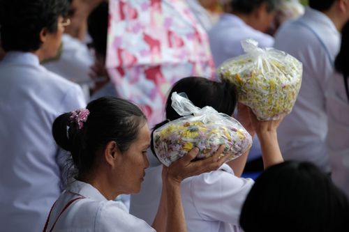 ภาพ No.32107:โครงการธรรมยาตรา เส้นทางพระผู้ปราบมาร ปีที่ 6 ณ วัดพระธรรมกาย