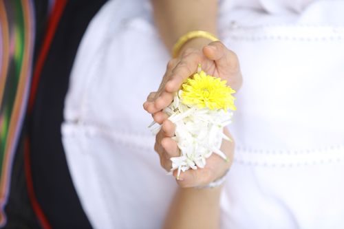 ภาพ No.31897:โครงการธรรมยาตรา เส้นทางพระผู้ปราบมาร ปีที่ 6 ณ วัดพระธรรมกาย