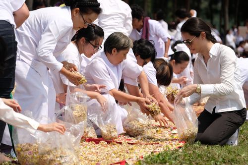 ภาพ No.32129:โครงการธรรมยาตรา เส้นทางพระผู้ปราบมาร ปีที่ 6 ณ วัดพระธรรมกาย