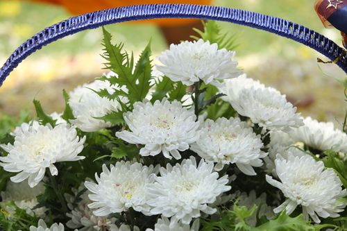 ภาพ No.31922:โครงการธรรมยาตรา เส้นทางพระผู้ปราบมาร ปีที่ 6 ณ วัดพระธรรมกาย