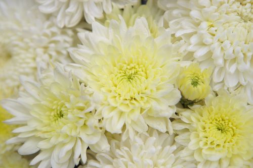 ภาพ No.32160:โครงการธรรมยาตรา เส้นทางพระผู้ปราบมาร ปีที่ 6 ณ วัดสองพี่น้อง