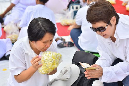 ภาพ No.32324:โครงการธรรมยาตรา เส้นทางพระผู้ปราบมาร ปีที่ 6 ณ วัดสองพี่น้อง