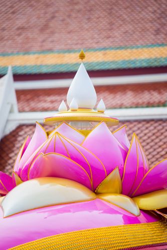 ภาพ No.32521:โครงการธรรมยาตรา เส้นทางพระผู้ปราบมาร ปีที่ 6 ณ วัดโบสถ์บน