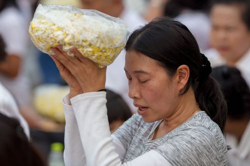 ภาพ No.32460:โครงการธรรมยาตรา เส้นทางพระผู้ปราบมาร ปีที่ 6 ณ วัดโบสถ์บน