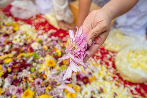 ภาพ No.32467:โครงการธรรมยาตรา เส้นทางพระผู้ปราบมาร ปีที่ 6 ณ วัดโบสถ์บน