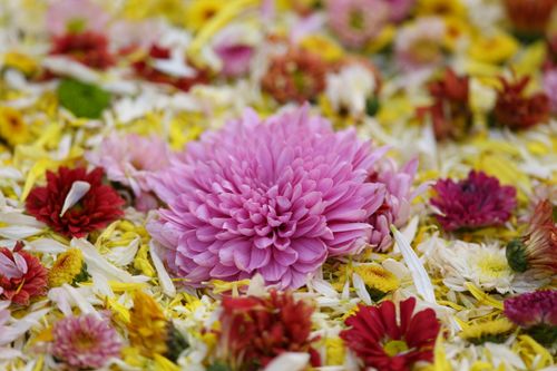 ภาพ No.32511:โครงการธรรมยาตรา เส้นทางพระผู้ปราบมาร ปีที่ 6 ณ วัดโบสถ์บน