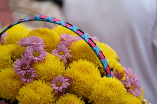 ภาพ No.32609:โครงการธรรมยาตรา เส้นทางพระผู้ปราบมาร ปีที่ 6 ณ วัดโบสถ์บน