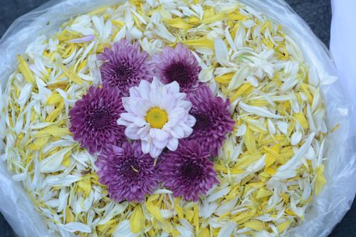 ภาพ No.32760:โครงการธรรมยาตรา เส้นทางพระผู้ปราบมาร ปีที่ 6 ณ อนุสรณ์สถานบางปลา