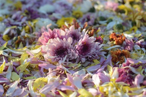 ภาพ No.32763:โครงการธรรมยาตรา เส้นทางพระผู้ปราบมาร ปีที่ 6 ณ อนุสรณ์สถานบางปลา