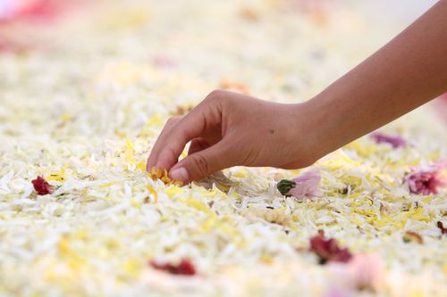 ภาพ No.32856:โครงการธรรมยาตรา เส้นทางพระผู้ปราบมาร ปีที่ 6 ณ อนุสรณ์สถานคลองบางนางแท่น