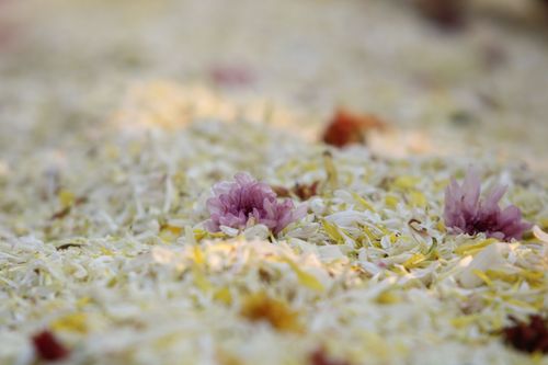 ภาพ No.32857:โครงการธรรมยาตรา เส้นทางพระผู้ปราบมาร ปีที่ 6 ณ อนุสรณ์สถานคลองบางนางแท่น