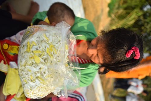 ภาพ No.32928:โครงการธรรมยาตรา เส้นทางพระผู้ปราบมาร ปีที่ 6 ณ อนุสรณ์สถานคลองบางนางแท่น