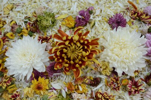 ภาพ No.33006:โครงการธรรมยาตรา เส้นทางพระผู้ปราบมาร ปีที่ 6 ณ อนุสรณ์สถานคลองบางนางแท่น