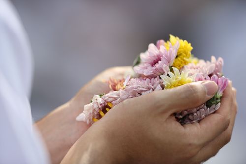 ภาพ No.33120:โครงการธรรมยาตรา เส้นทางพระผู้ปราบมาร ปีที่ 6 ณ วัดพระธรรมกาย