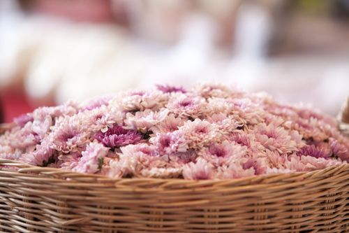 ภาพ No.33103:โครงการธรรมยาตรา เส้นทางพระผู้ปราบมาร ปีที่ 6 ณ วัดพระธรรมกาย