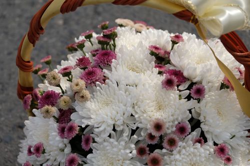 ภาพ No.33057:โครงการธรรมยาตรา เส้นทางพระผู้ปราบมาร ปีที่ 6 ณ วัดพระธรรมกาย