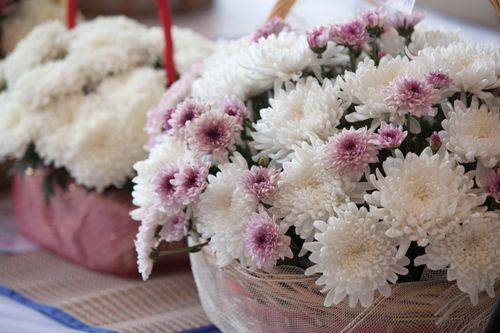 ภาพ No.33104:โครงการธรรมยาตรา เส้นทางพระผู้ปราบมาร ปีที่ 6 ณ วัดพระธรรมกาย