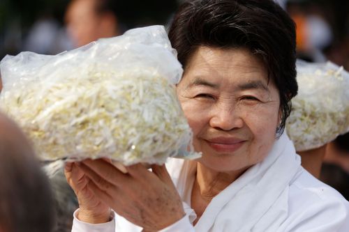 ภาพ No.33194:โครงการธรรมยาตรา เส้นทางพระผู้ปราบมาร ปีที่ 6 ณ วัดพระธรรมกาย