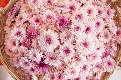 ภาพ No.33108:โครงการธรรมยาตรา เส้นทางพระผู้ปราบมาร ปีที่ 6 ณ วัดพระธรรมกาย