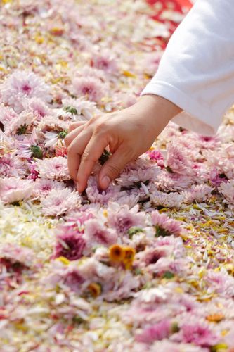 ภาพ No.33200:โครงการธรรมยาตรา เส้นทางพระผู้ปราบมาร ปีที่ 6 ณ วัดพระธรรมกาย