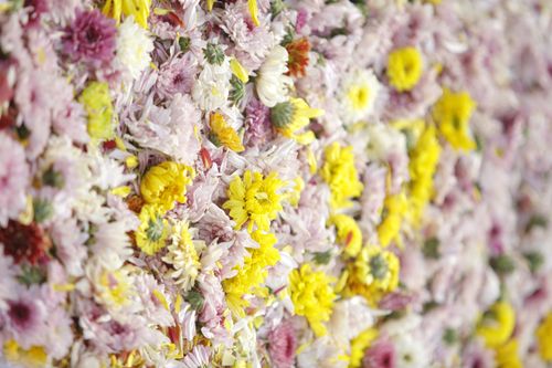 ภาพ No.33046:โครงการธรรมยาตรา เส้นทางพระผู้ปราบมาร ปีที่ 6 ณ วัดพระธรรมกาย