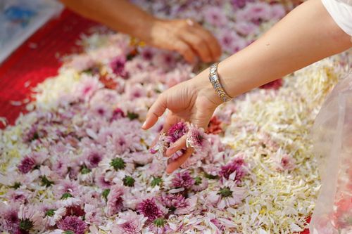 ภาพ No.33202:โครงการธรรมยาตรา เส้นทางพระผู้ปราบมาร ปีที่ 6 ณ วัดพระธรรมกาย