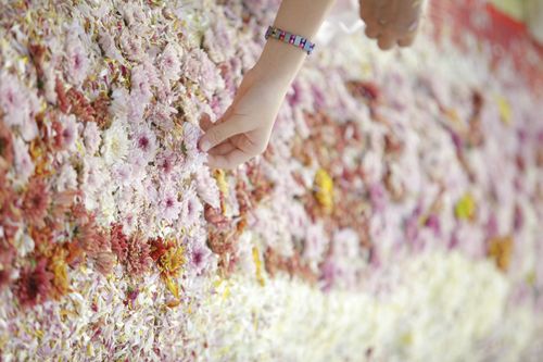 ภาพ No.33045:โครงการธรรมยาตรา เส้นทางพระผู้ปราบมาร ปีที่ 6 ณ วัดพระธรรมกาย