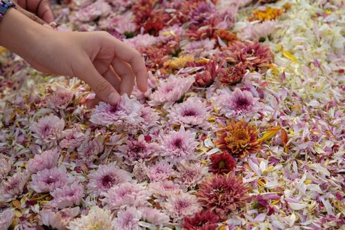 ภาพ No.33067:โครงการธรรมยาตรา เส้นทางพระผู้ปราบมาร ปีที่ 6 ณ วัดพระธรรมกาย