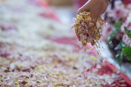 ภาพ No.33105:โครงการธรรมยาตรา เส้นทางพระผู้ปราบมาร ปีที่ 6 ณ วัดพระธรรมกาย