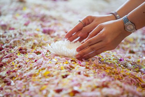 ภาพ No.33107:โครงการธรรมยาตรา เส้นทางพระผู้ปราบมาร ปีที่ 6 ณ วัดพระธรรมกาย