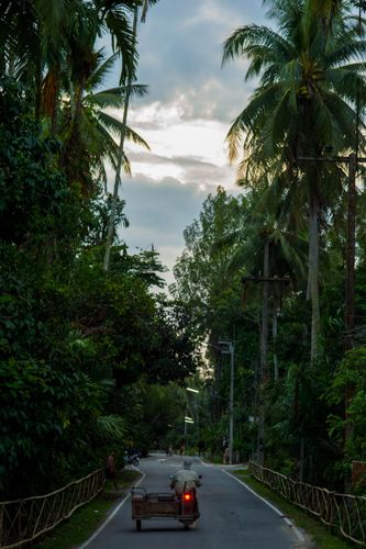 ภาพ No.30161:พิธีถวายสังฆทานแด่คณะสงฆ์ 323 วัด ใน 4 จังหวัดภาคใต้ ครั้งที่ 135