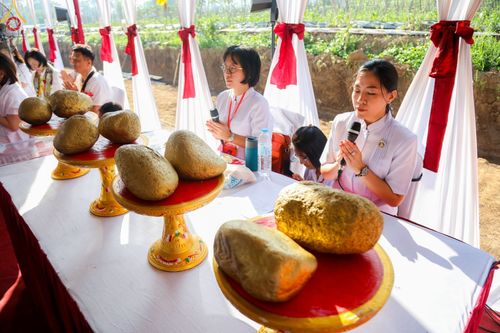 ภาพ No.104126:พิธีโปรยรัตนชาติ วางศิลาฤกษ์ สามเณรธรรมทายาทชาวอินโดนีเซียกว่า 1,000 รูป ณ มหาเจดีย์บุโรพุทโธ ประเทศอินโดนีเซีย ในวันที่ 21 ธันวาคม พ.ศ. 2566