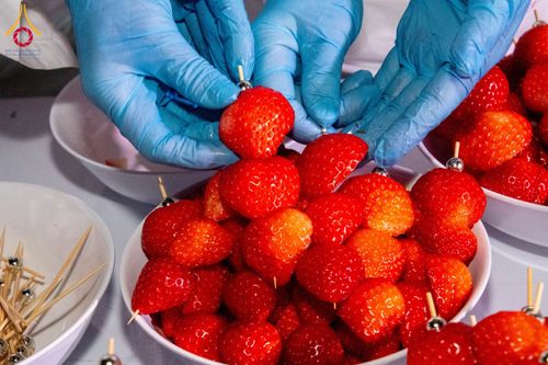 ภาพ No.194869:พิธีถวายภัตตาหารเป็นสังฆทาน แด่พระธรรมยาตรา ณ อนุสรณ์สถานมหาวิหารพระมงคลเทพมุนี (โลตัสแลนด์) อ.สองพี่น้อง จ.สุพรรณบุรี ในโครงการธรรมยาตรา กตัญญูบูชา มหาปูชนียาจารย์ พระมงคลเทพมุนี(สด จนฺทสโร) พระผู้ปราบมาร แห่ง ปีที่ 13 วันที่ 14 มกราคม พ.ศ.2568