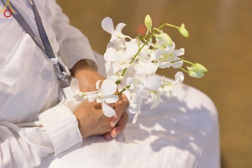 ภาพ No.198536:พิธีฉลองชัยสวดมนต์บทธัมมจักกัปปวัตนสูตร 7,051,919,116 จบ เนื่องในวันคล้ายวันเกิด 116 ปี คุณยายอาจารย์มหารัตนอุบาสิกาจันทร์ ขนนกยูง วันอาทิตย์ที่ 19 มกราคม พ.ศ. 2568 ณ มหารัตนวิหารคด วัดพระธรรมกาย จ.ปทุมธานี