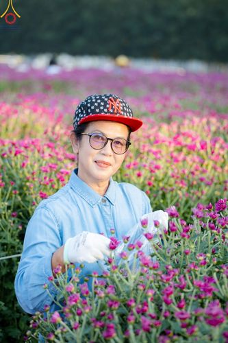 ภาพ No.186259:จิตอาสาอนุรักษ์สิ่งแวดล้อม รับบุญเก็บดอกเบญจทรัพย์ เพื่องานต้อนรับพระธรรมยาตรา ณ "ทุ่งสวรรค์ ตะวันฉาย" วัดพระธรรมกาบ วันที่ 22 ธันวาคม พ.ศ. 2567