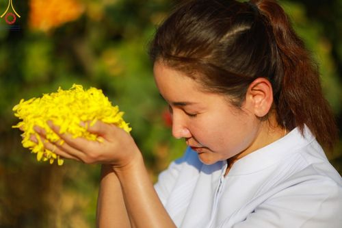 ภาพ No.116587:พิธีต้อนรับพระธรรมยาตรา ปีที่ 12 ณ อนุสรณ์สถานบางปลา จ.นครปฐม วันที่ 21 มกราคม พ.ศ. 2567