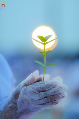 ภาพ No.90177:พิธีปลูกทรัพย์บานชื่น  เนื่องใน 139 ปี วันคล้ายวันเกิดด้วยรูปกายเนื้อ พระมงคลเทพมุนี (สด จนฺทสโร) พระผู้ปราบมาร วันอังคารที่ 10 ตุลาคม พ.ศ. 2566 ณ วัดพระธรรมกาย จ.ปทุมธานี