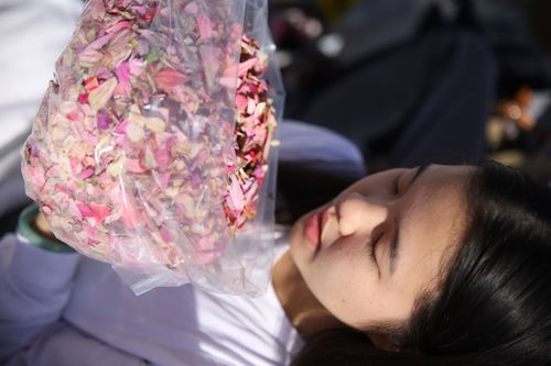 ภาพ No.33440:โครงการธรรมยาตรา เส้นทางพระผู้ปราบมาร ปีที่ 7 ณ วัดพระธรรมกาย