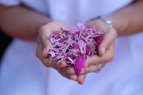 ภาพ No.33484:โครงการธรรมยาตรา เส้นทางพระผู้ปราบมาร ปีที่ 7 ณ อนุสรณ์สถานพระมงคลเทพมุนี