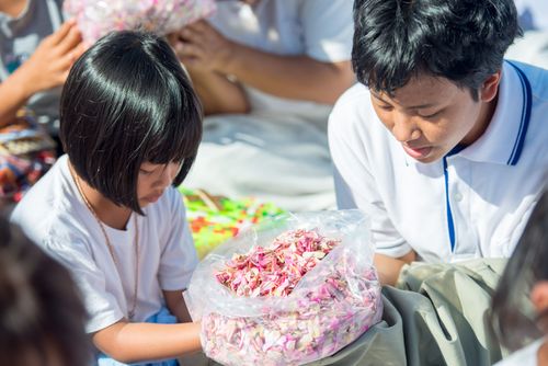 ภาพ No.33389:โครงการธรรมยาตรา เส้นทางพระผู้ปราบมาร ปีที่ 7 ณ วัดพระธรรมกาย