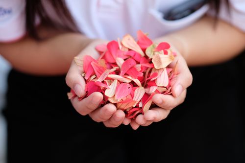 ภาพ No.33481:โครงการธรรมยาตรา เส้นทางพระผู้ปราบมาร ปีที่ 7 ณ อนุสรณ์สถานพระมงคลเทพมุนี