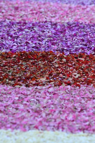 ภาพ No.33529:โครงการธรรมยาตรา เส้นทางพระผู้ปราบมาร ปีที่ 7 ณ อนุสรณ์สถานพระมงคลเทพมุนี