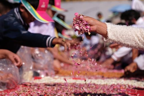 ภาพ No.33305:โครงการธรรมยาตรา เส้นทางพระผู้ปราบมาร ปีที่ 7 ณ วัดพระธรรมกาย