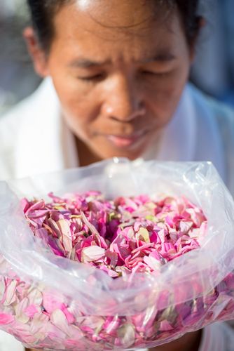 ภาพ No.33385:โครงการธรรมยาตรา เส้นทางพระผู้ปราบมาร ปีที่ 7 ณ วัดพระธรรมกาย