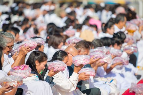 ภาพ No.33387:โครงการธรรมยาตรา เส้นทางพระผู้ปราบมาร ปีที่ 7 ณ วัดพระธรรมกาย
